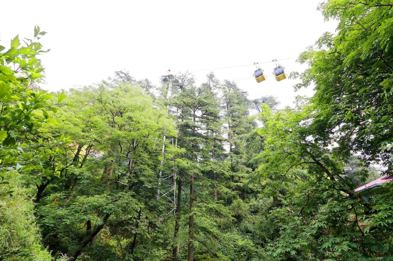 Oyo 45337 Hotel Woodland Shimla Eksteriør bilde
